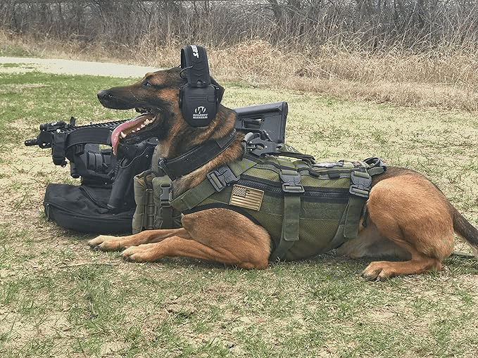 Shooting Earmuffs: In the field 